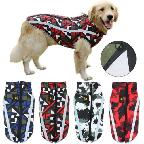 Apparel & Accessories Trendypet's Zone