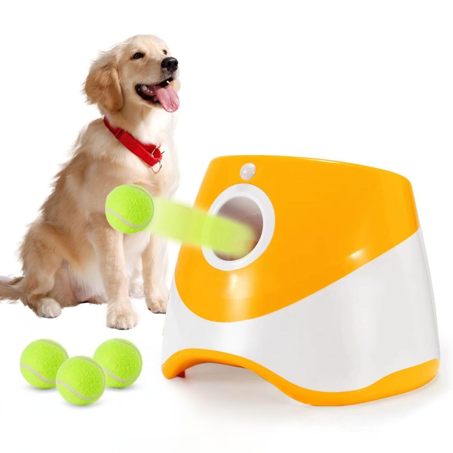 Ball Launchers Trendypet's Zone