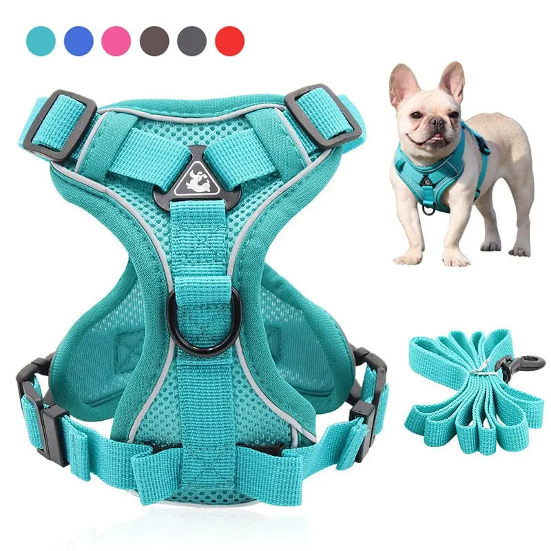 Collars, Harness & Leashes Trendypet's Zone