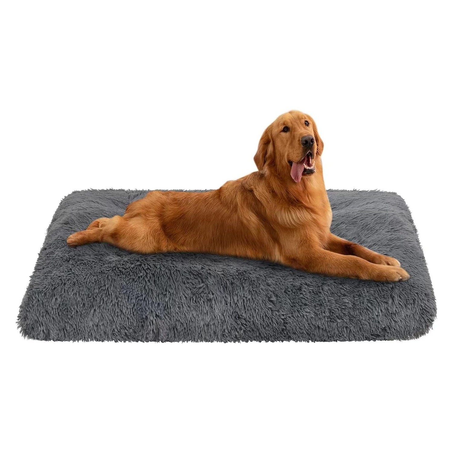 Dog Beds & Mats Trendypet's Zone