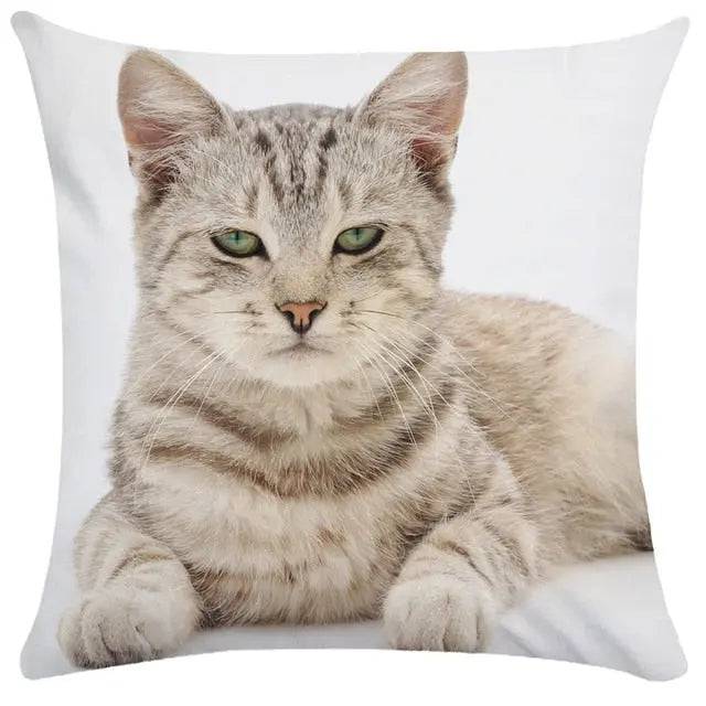 #16 Cushion Cover Cute Pet Cat Pillowcase Sofa Living Room Home Decor Pillowcase - Trendypet's Zone