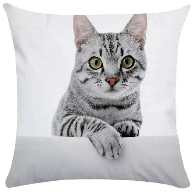 #26 Cushion Cover Cute Pet Cat Pillowcase Sofa Living Room Home Decor Pillowcase - Trendypet's Zone