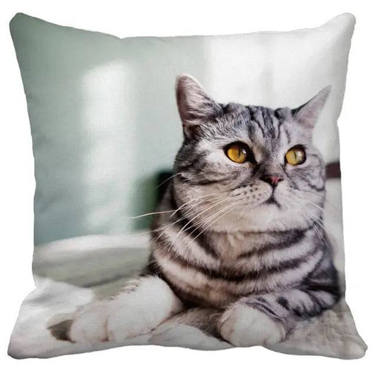 #27 Cushion Cover Cute Pet Cat Pillowcase Sofa Living Room Home Decor Pillowcase - Trendypet's Zone