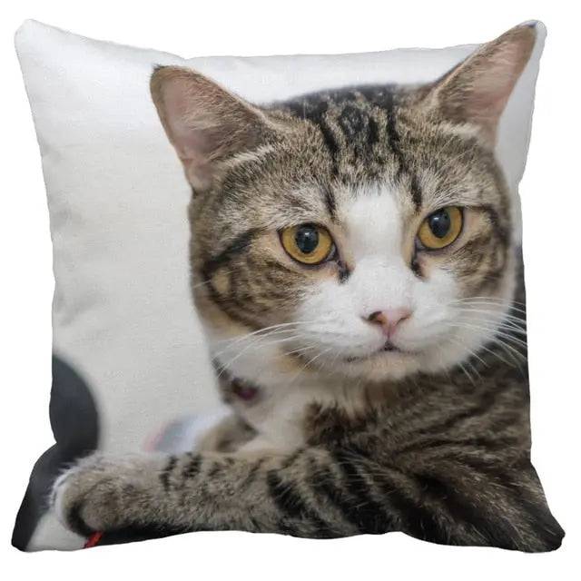 #29 Cushion Cover Cute Pet Cat Pillowcase Sofa Living Room Home Decor Pillowcase - Trendypet's Zone