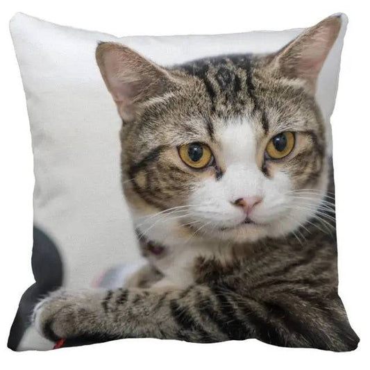 #29 Cushion Cover Cute Pet Cat Pillowcase Sofa Living Room Home Decor Pillowcase - Trendypet's Zone