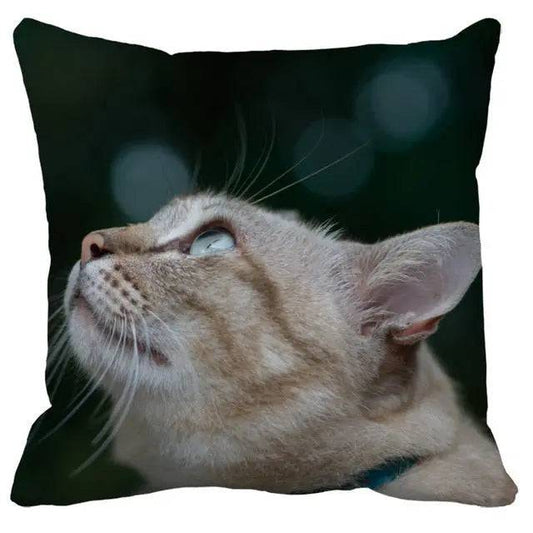 #31 Cushion Cover Cute Pet Cat Pillowcase Sofa Living Room Home Decor Pillowcase - Trendypet's Zone