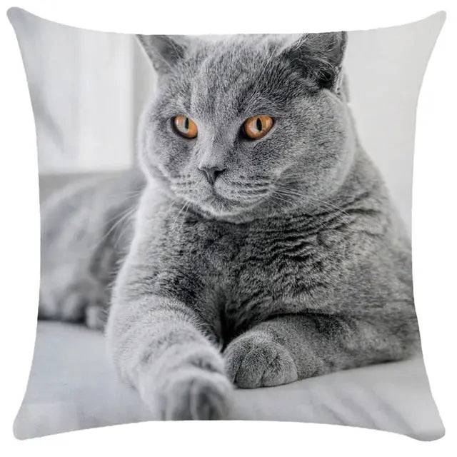 #33 Cushion Cover Cute Pet Cat Pillowcase Sofa Living Room Home Decor Pillowcase - Trendypet's Zone