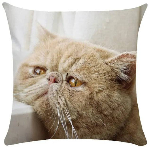 #37 Cushion Cover Cute Pet Cat Pillowcase Sofa Living Room Home Decor Pillowcase - Trendypet's Zone