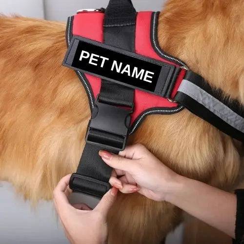 Black Dog Harness No Pull Reflective Breathable Pet Harness With Name For Dogs Custom Patch Adjustable Outdoor Walking Dog Supplies TRENDYPET'S ZONE