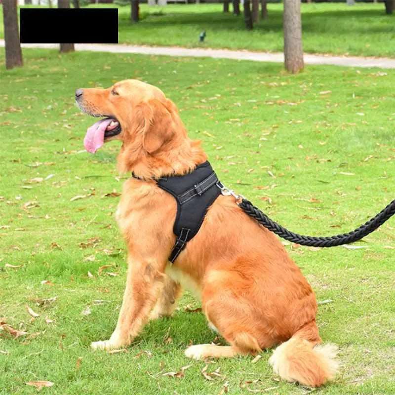 Black Pet Dogs Adjustable Harness Small and Large Dog Harness Vest - Trendypet's Zone