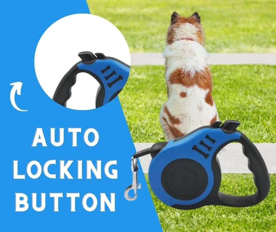 Blue Dog Leash 3m 5m Durable Leash Automatic Retractable Nylon Cat Lead Extension Puppy Walking Running Lead Roulette For Dog - Trendypet's Zone