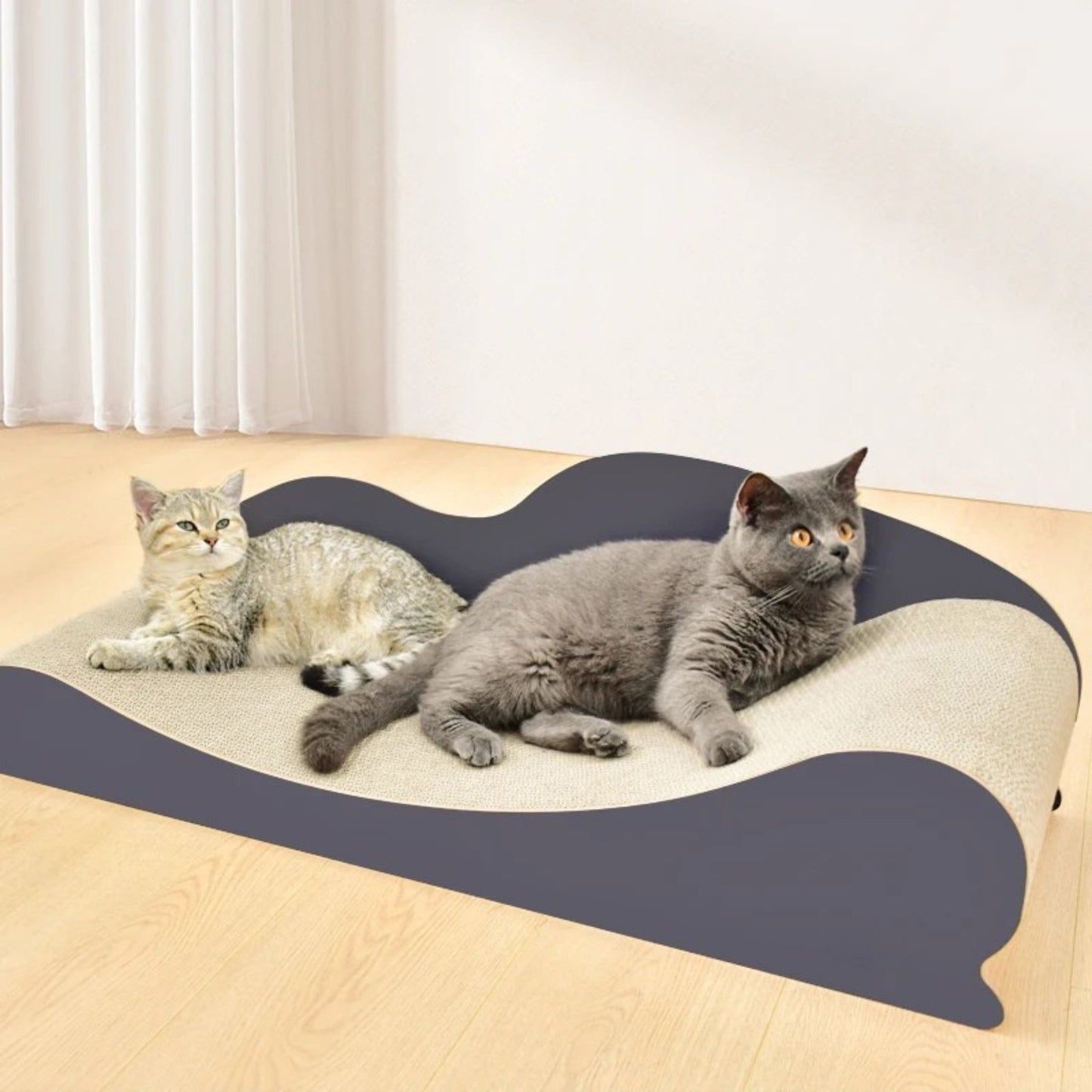 Durable Cat Scratching Cardboard Lounge TRENDYPET'S ZONE