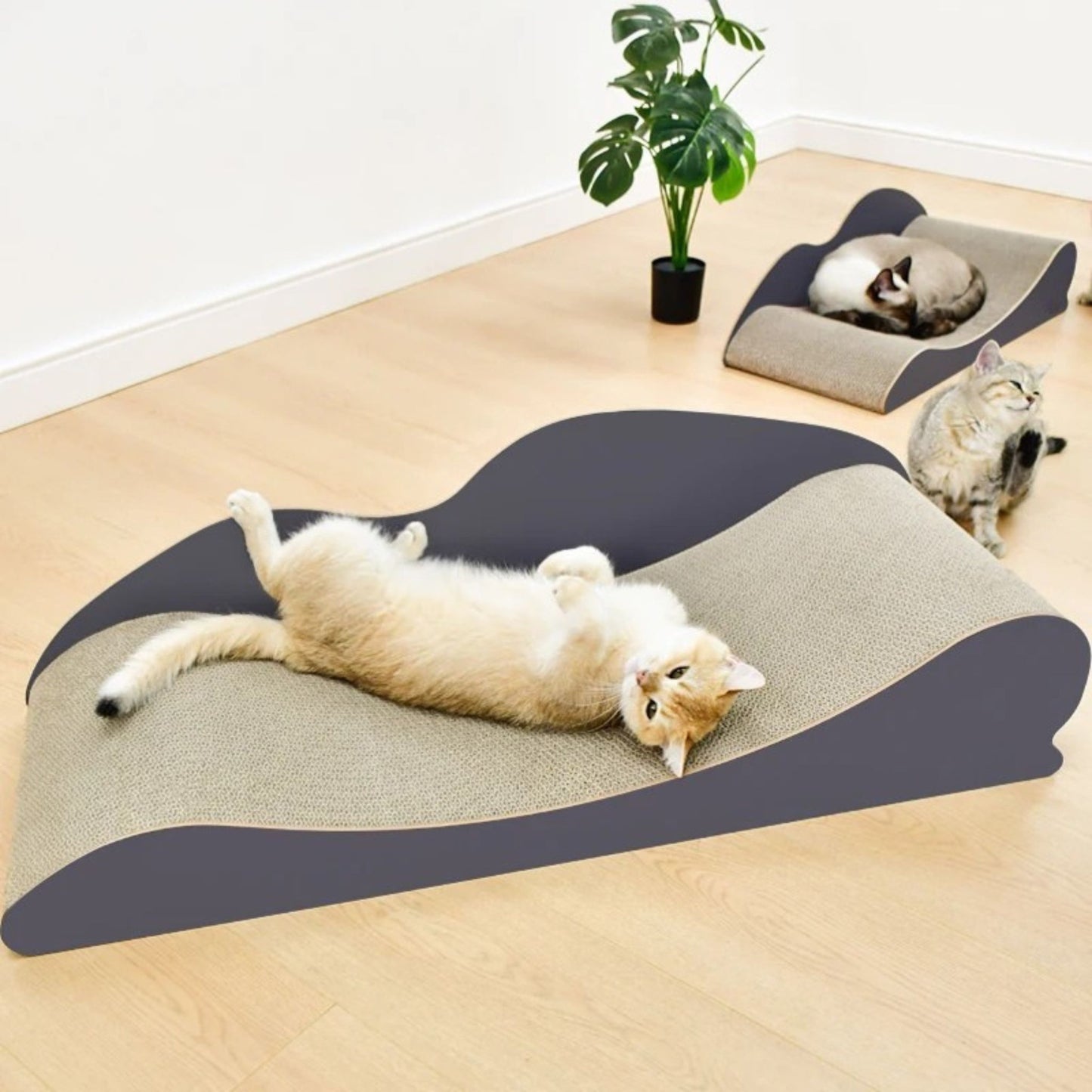 Durable Cat Scratching Cardboard Lounge TRENDYPET'S ZONE