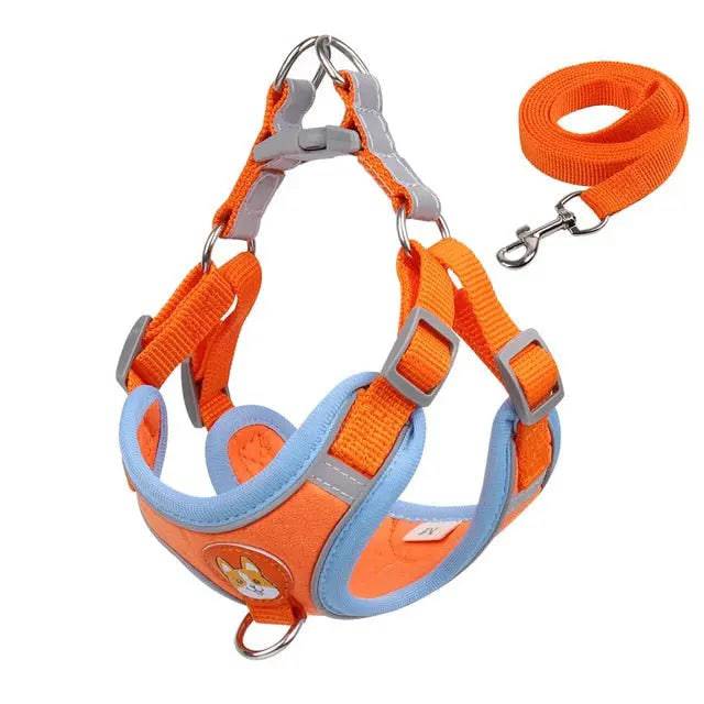 Orange Pet Dog Harness and Leash Set Adjustable Puppy Harness Vest Reflective Walking Lead Leash For Small Dogs Chihuahua TRENDYPET'S ZONE