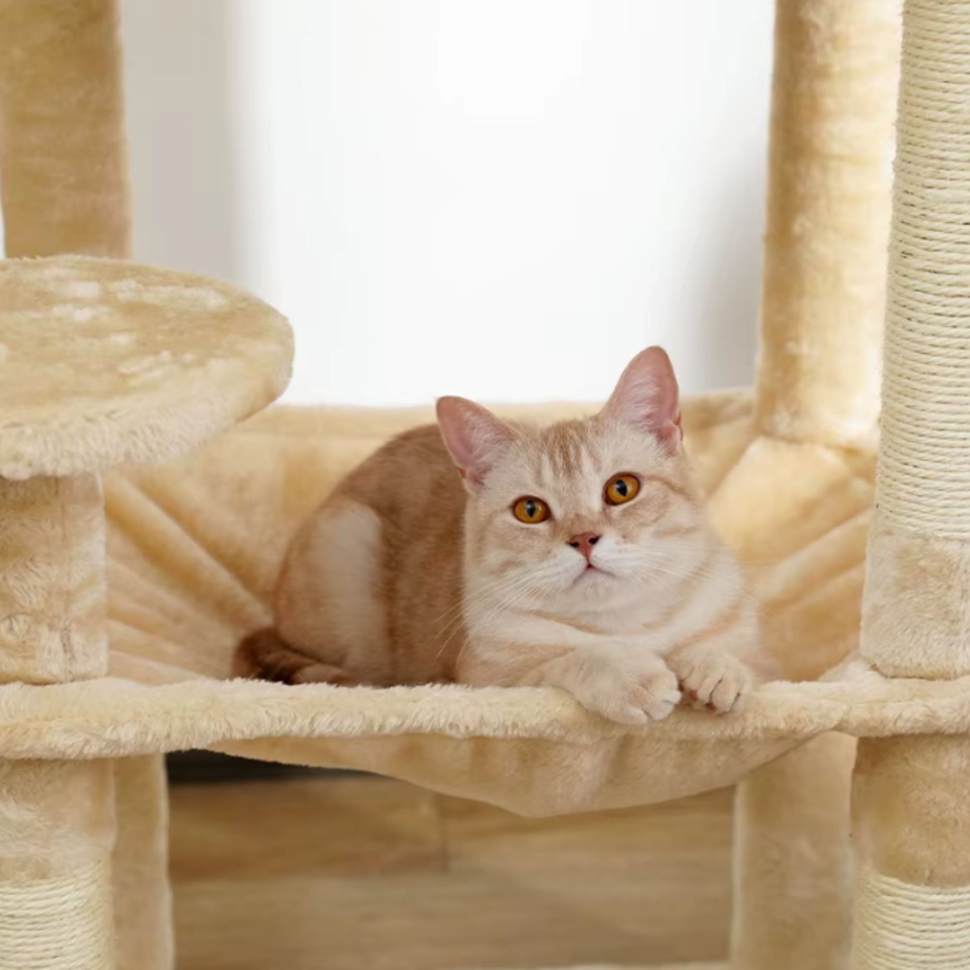 56.3" Beige Cat Tree Plush Cat Tower Multilevel Cat Play House with Sisal Scratching Posts, Spacious Hammock and Large Condos TRENDYPET'S ZONE