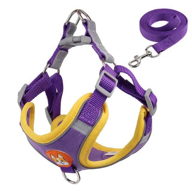 Purple Pet Dog Harness and Leash Set Adjustable Puppy Harness Vest Reflective Walking Lead Leash For Small Dogs Chihuahua TRENDYPET'S ZONE