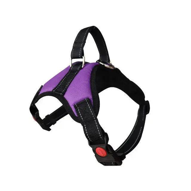 Purple Pet Dogs Adjustable Harness Small and Large Dog Harness Vest TRENDYPET'S ZONE