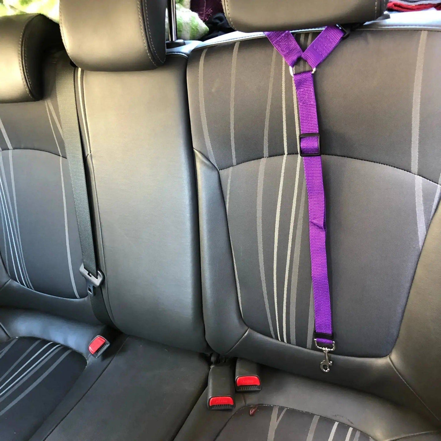 Purple Solid Color Two-in-one Pet Car Seat Belt Nylon Lead Leash Backseat Safety Belt Adjustable Dogs Harness Collar Pet Accessories TRENDYPET'S ZONE