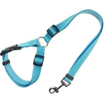 SkyBlue Solid Color Two-in-one Pet Car Seat Belt Nylon Lead Leash Backseat Safety Belt Adjustable Dogs Harness Collar Pet Accessories - Trendypet's Zone