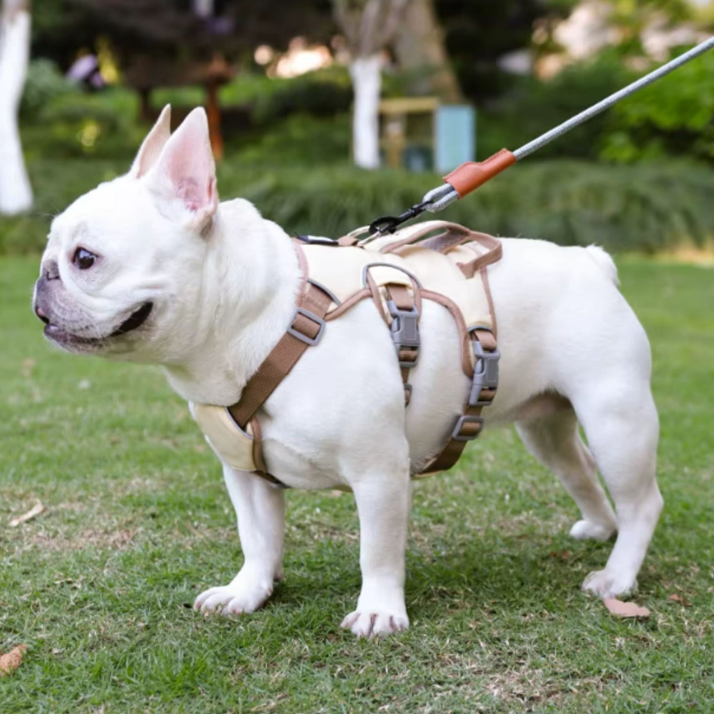 Beige Dog Harness NO PULL Outdoor Walking Breathable Reflective Adjustable Harness for Small Medium Large Dogs - TrendyPet's Zone