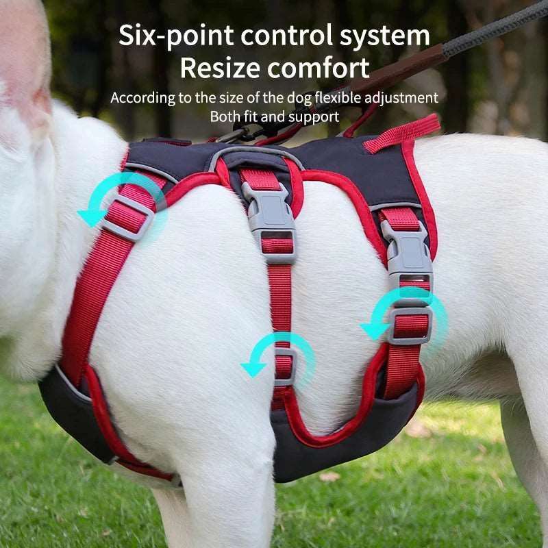 Beige Dog Harness NO PULL Outdoor Walking Breathable Reflective Adjustable Harness for Small Medium Large Dogs TRENDYPET'S ZONE