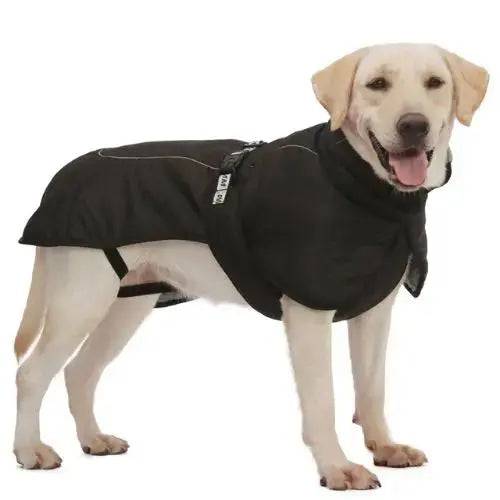 Black Big Dog Jacket Waterproof Winter Warm Clothes for Medium Large Dogs Coat Costume Outfits TRENDYPET'S ZONE