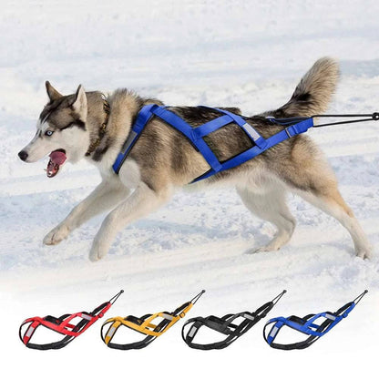 Black Dog Sledding Harness Reflective Pet Skijoring Harness Waterproof Big Large Dogs Weight Pulling Vest For Pet Training TRENDYPET'S ZONE