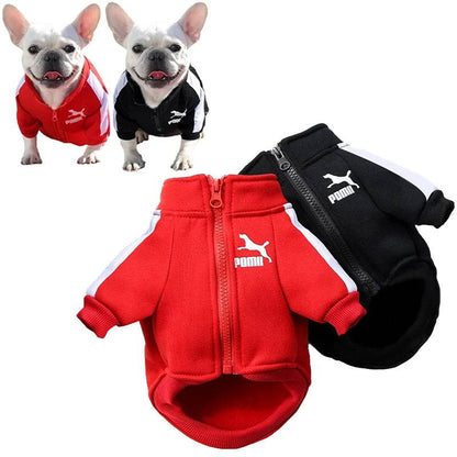 Black Luxury Dog Clothes Warm Fashion Pet Sweatshirt TRENDYPET'S ZONE