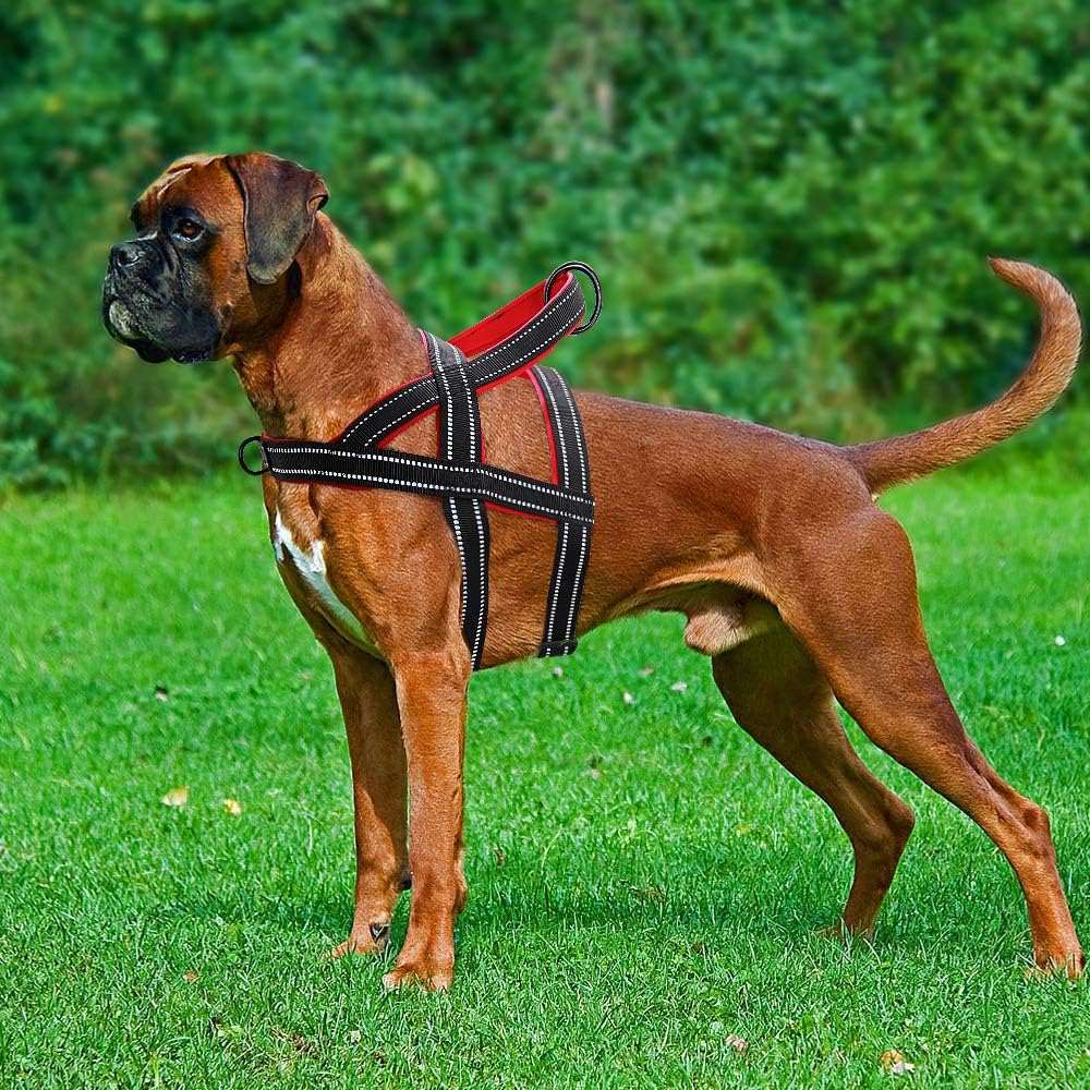 Black No Pull Nylon Dog Harness Reflective Adjustable Dog Harness Vest For Medium Large Dogs Walking Training Belt TRENDYPET'S ZONE