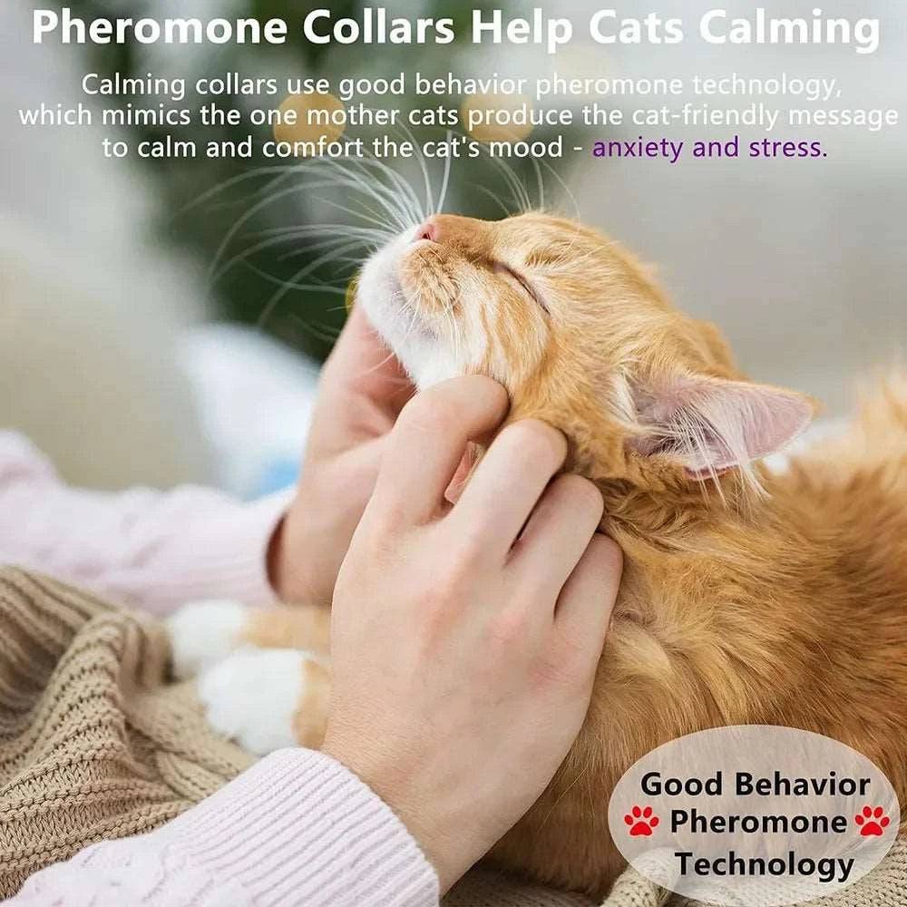 Black Safe Cat Calming Collar 1Pack/60Days Adjustable Anxiety Reduction Pheromone Lasting Natural Calm Pet Collar Boxed OPP Bag - Trendypet's Zone