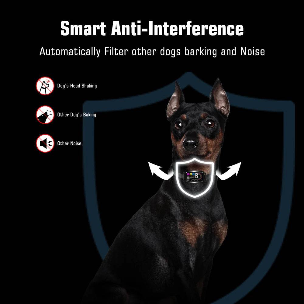 Black Smart Anti Barking Collar for Small Medium Large Breed Dogs Rechargeable Puppy Bark Collar with 4 Training Modes & 8 Adjustable Sensitivity - Trendypet's Zone