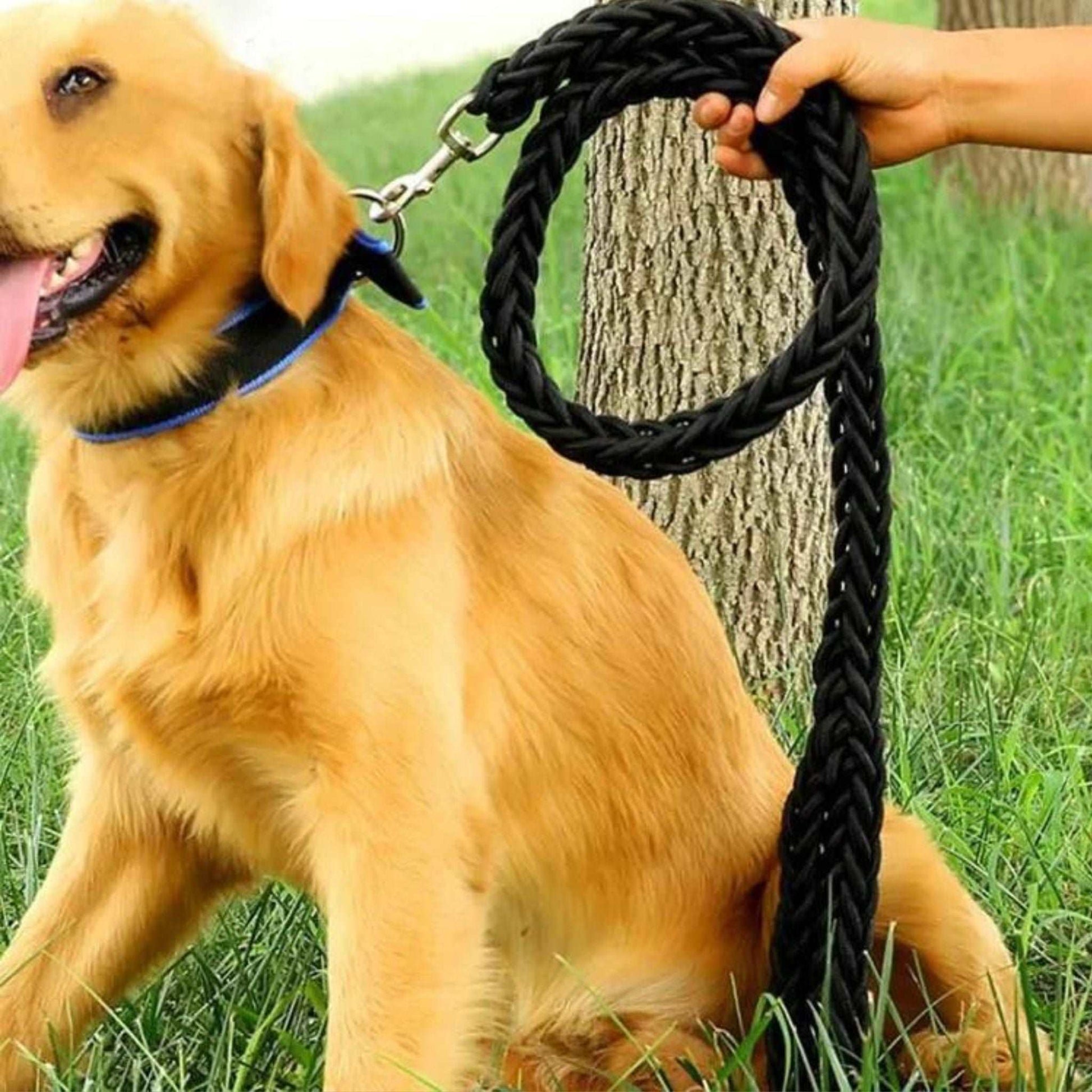 Black Super Strong Coarse Nylon Dog Leash Double Row Adjustable Collar For Medium Large Dogs TRENDYPET'S ZONE