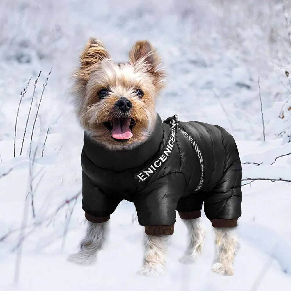 Black Super Warm Waterproof Dog Coat with Harness TRENDYPET'S ZONE