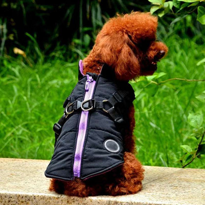 Black Waterproof Dog Vest Jacket with Harness Winter Coats TRENDYPET'S ZONE