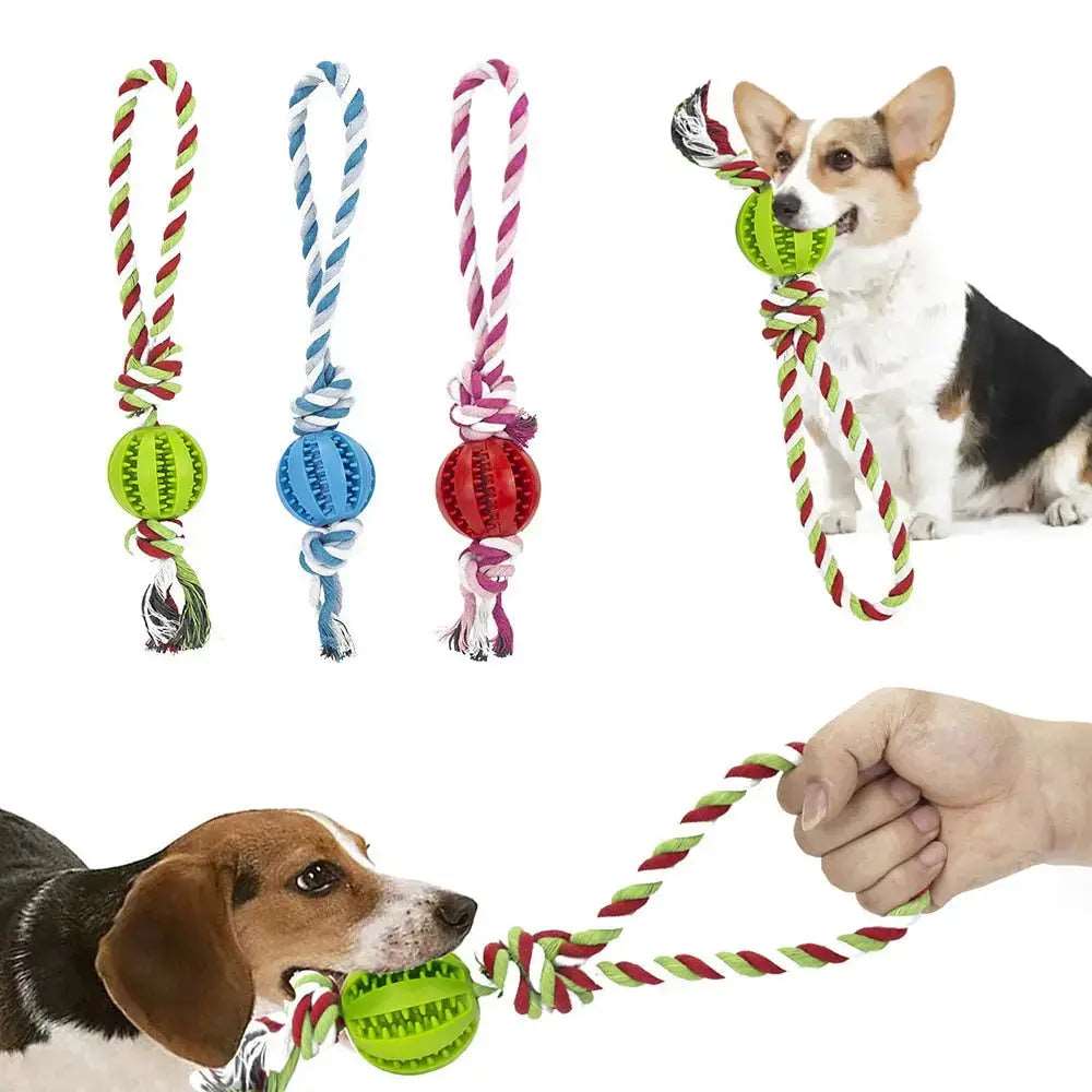 Blue Ball White Hemp Rope Toys Treat Interactive Rubber Leaking Balls for Small Dogs Chewing Bite Resistant Pet Tooth Cleaning - Trendypet's Zone