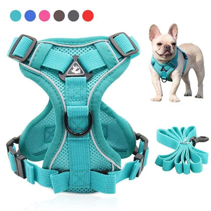 Blue Dog Harness Leash Set Reflective Breathable Vest Adjustable Chest Strap TRENDYPET'S ZONE