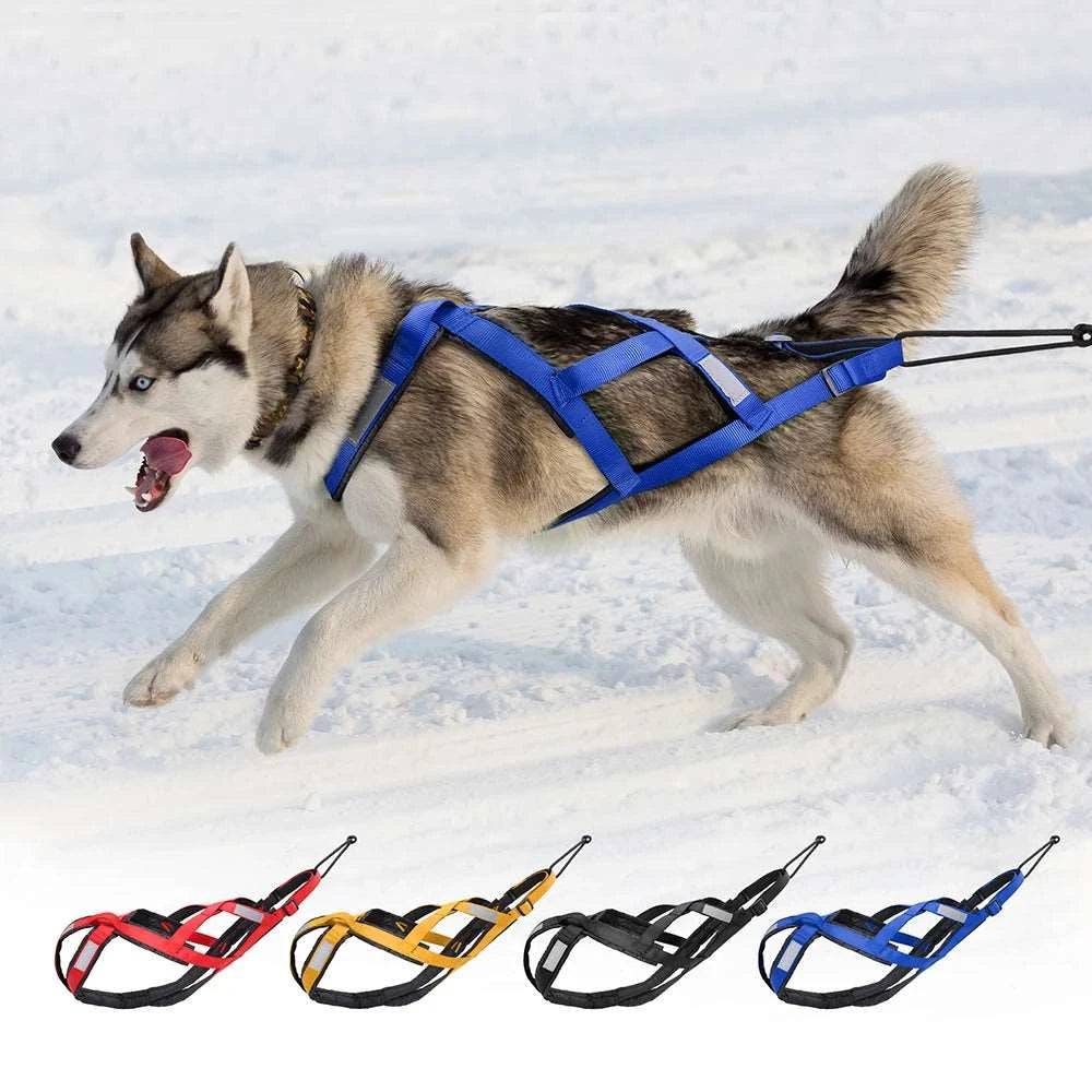 Blue Dog Sledding Harness Reflective Pet Skijoring Harness Waterproof Big Large Dogs Weight Pulling Vest For Pet Training - Trendypet's Zone