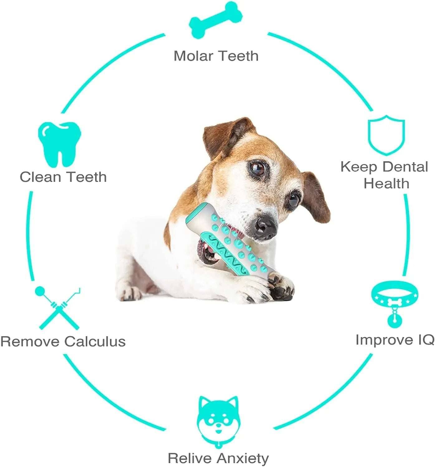 Blue Dog Teeth Grinding Stick Gnawing Teeth Clean Bone Dog Tooth Brush Chewing Gum Pet Toy Dog Bite Resistant Molar Training Grinding TRENDYPET'S ZONE