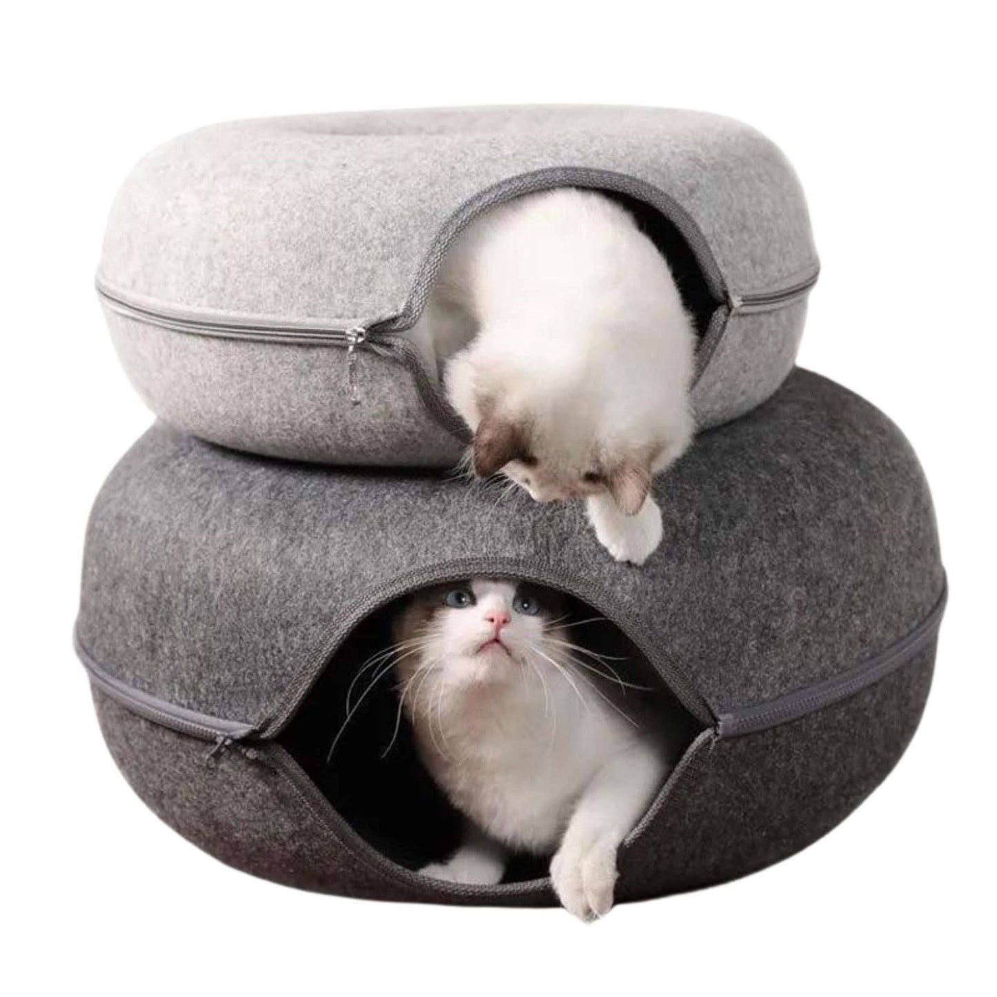 Blue Donut Cat Bed for 2 Pets Tunnel Kitten House Basket Interactive Natural Felt Cave Nest - Trendypet's Zone