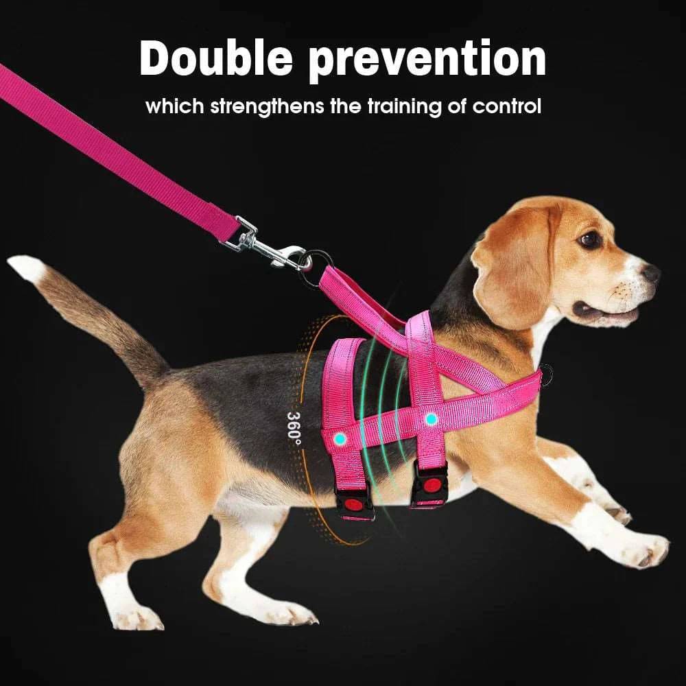 Blue No Pull Nylon Dog Harness Reflective Adjustable Dog Harness Vest For Medium Large Dogs Walking Training Belt TRENDYPET'S ZONE