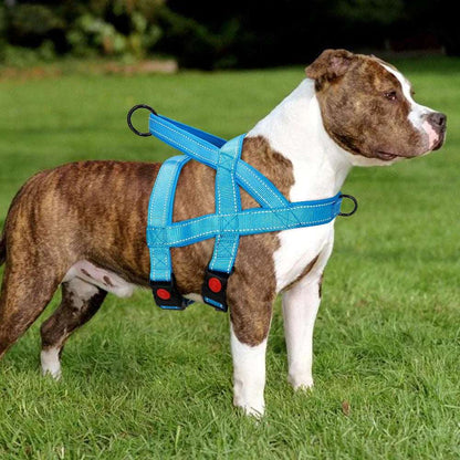 Blue No Pull Nylon Dog Harness Reflective Adjustable Dog Harness Vest For Medium Large Dogs Walking Training Belt TRENDYPET'S ZONE