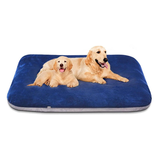 Blue Orthopedic Foam Dog Bed with Removable and Washable Cover for Large Dogs, Anti-Slip Bottom Jumbo Size 47" x 39" x 4" - Trendypet's Zone