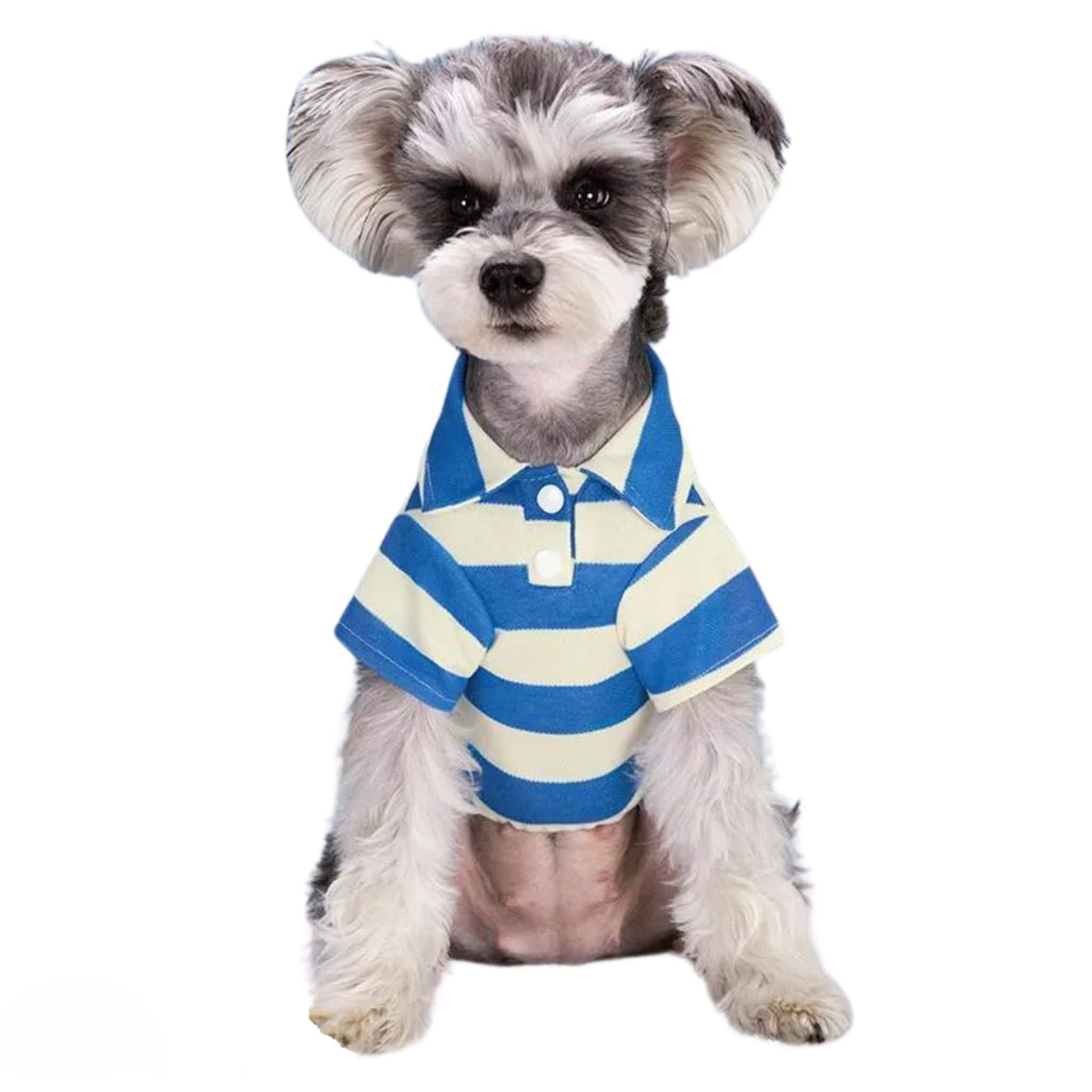 Blue Pet Polo Shirt Summer Dog Clothes Casual Clothing for Small Large Puppy T-shirt Shirts TRENDYPET'S ZONE