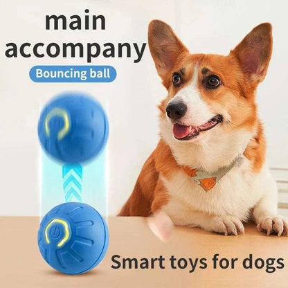 Blue Smart Dog Toy Ball Electronic Interactive Pet Moving Ball USB Automatic Bouncing for Puppy - Trendypet's Zone