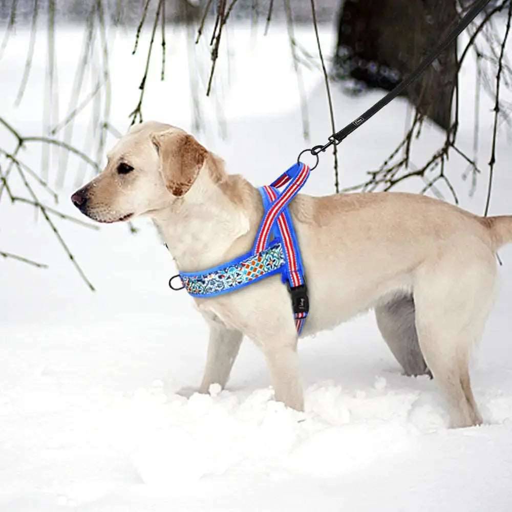 Blue Warm Harness Vest Winter Soft Padded Pet Training Adjustable For Small Large Dog Puppy TRENDYPET'S ZONE