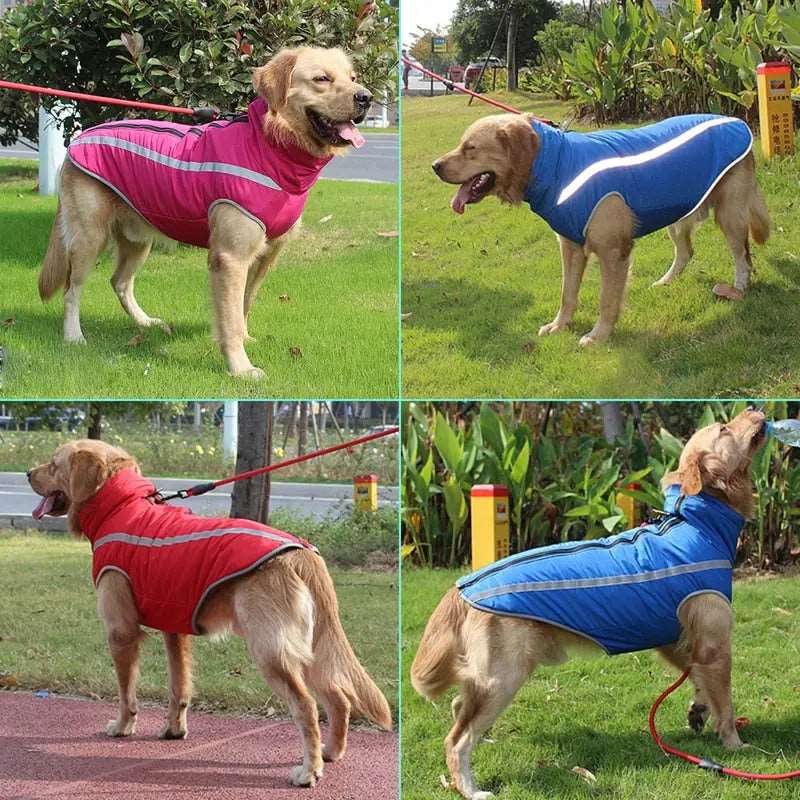 Blue Waterproof Dog Clothes for Winter Warm Big Jackets Padded Fleece Pet Coat Safety Reflective Design - Trendypet's Zone