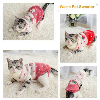 Blue With Bones Cat Kitten Sweater Winter Warm Clothes For Small Medium Dogs Coat Pet Outfit TRENDYPET'S ZONE