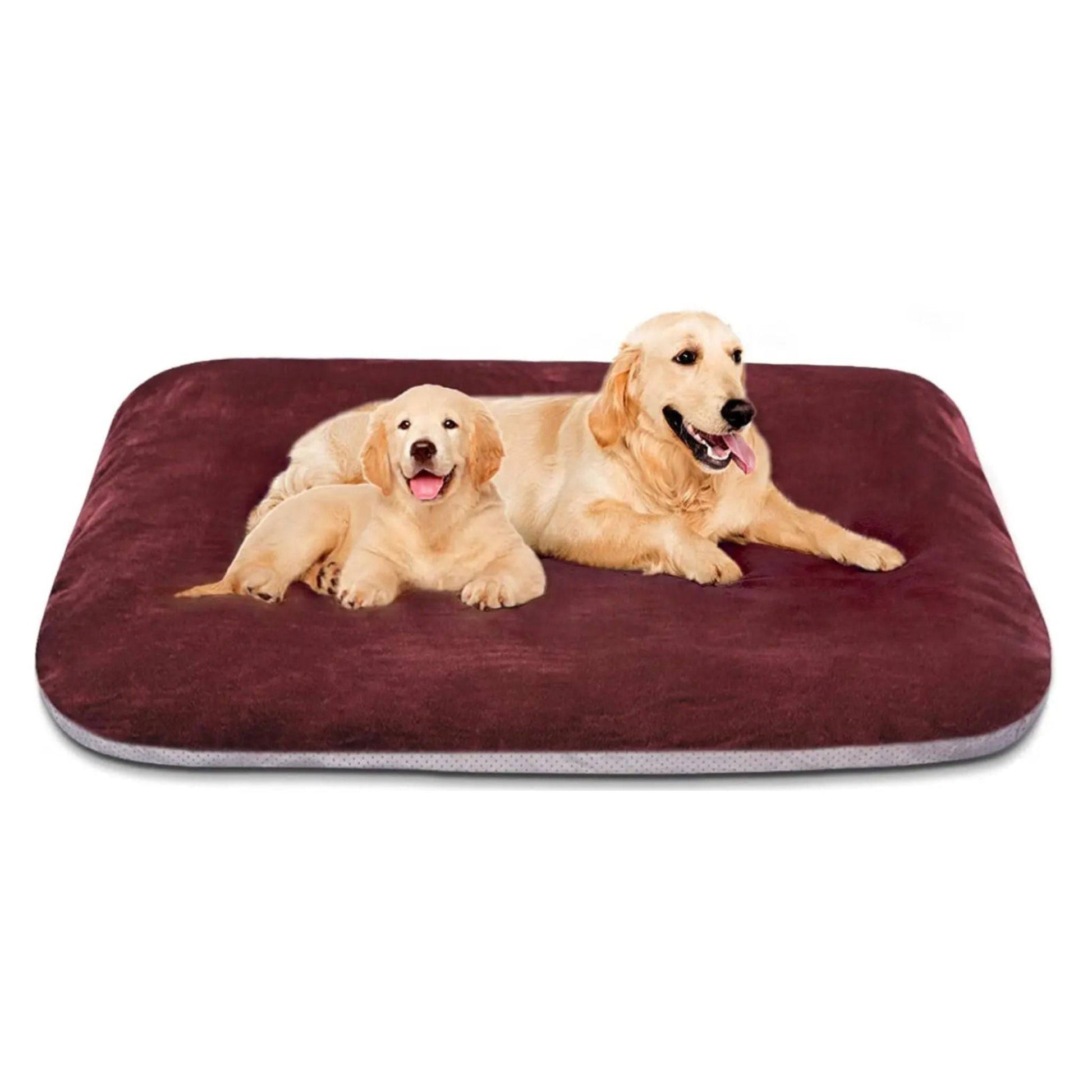 Burgundy Orthopedic Foam Dog Bed with Removable and Washable Cover for Large Dogs, Anti-Slip Bottom Jumbo Size 47" x 39" x 4" - Trendypet's Zone