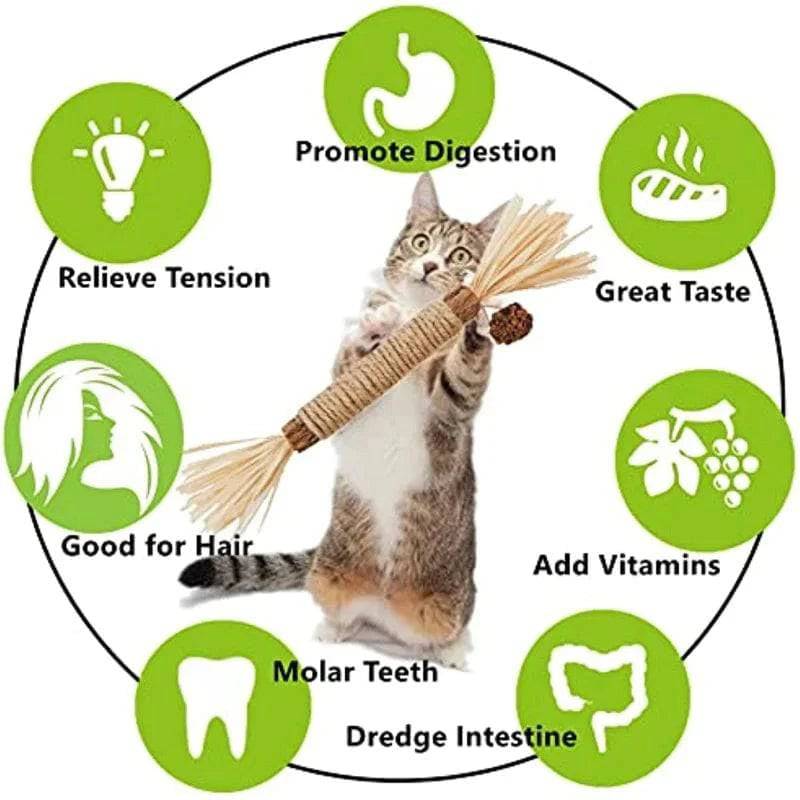 Cat Toys Chew Stick, Kitten Treat Catnip Toy Natural Stuff with Catnip for Cleaning Teeth Indoor Dental TRENDYPET'S ZONE