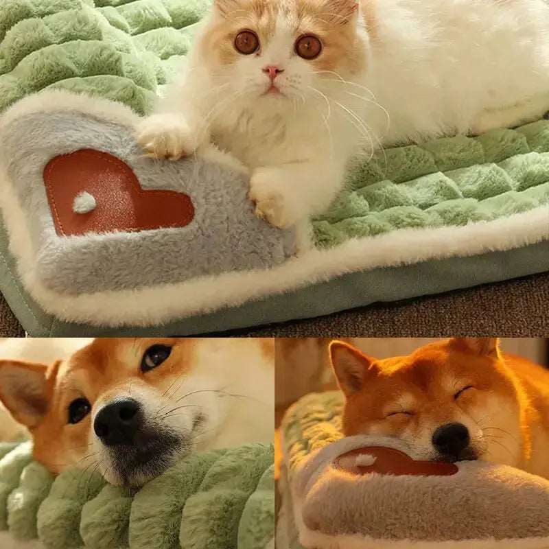 Coffee Pet Mat for Winter Luxury Pad for Small Medium Large Dogs Cats Plaid Fluff Sleeping Removable Washable Pet Bed TRENDYPET'S ZONE